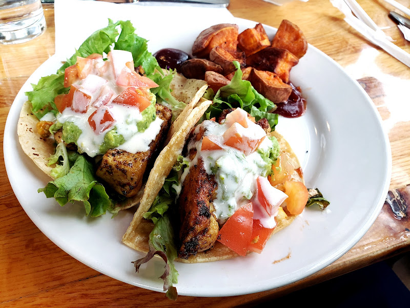 elephant + vine photo 2