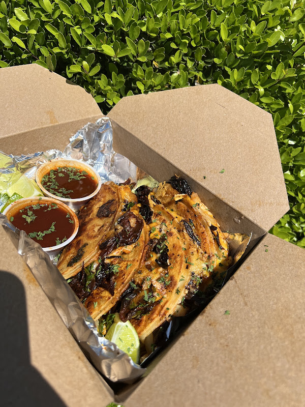 Flower Child photo 4