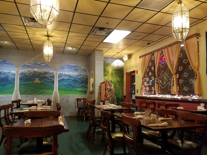 FRESH MINT Indian Grill photo 5