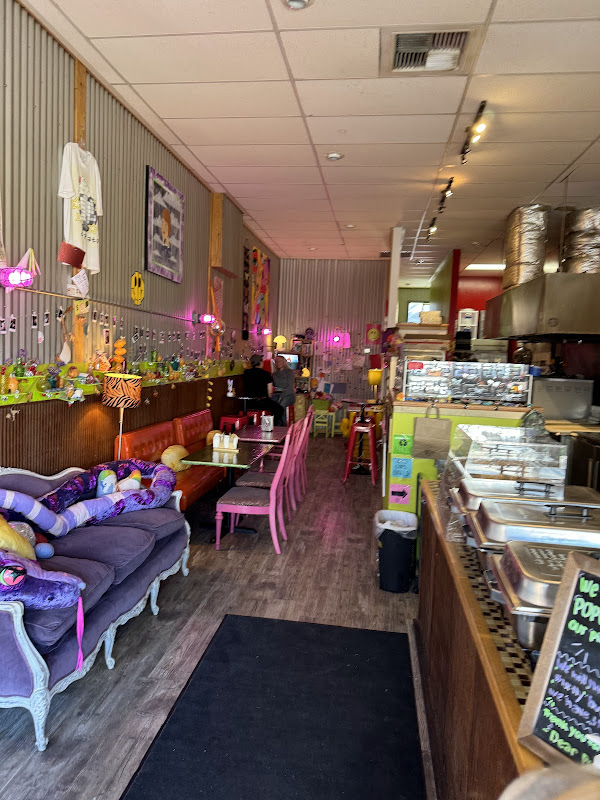 Spitz - Bozeman photo 2