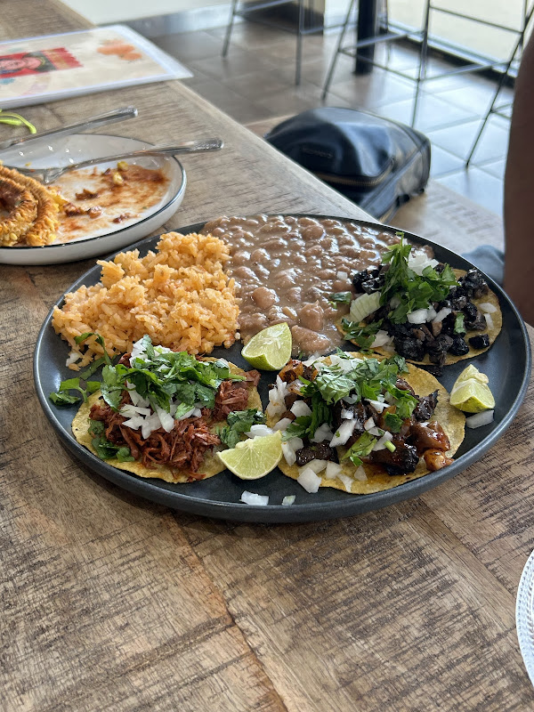 Veggie House photo 2